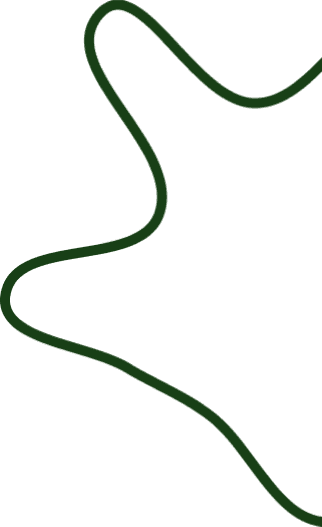 Support-Pakistan-Dot-Line-Green